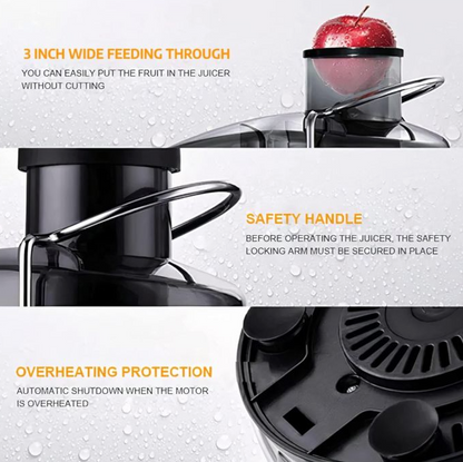 Shtrydhëse frutash Silver Love 1500W